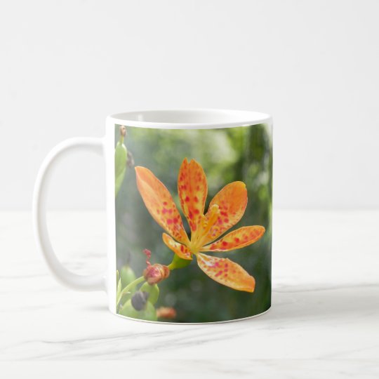 Belamcanda Chinensis Bloom Coffee Mug