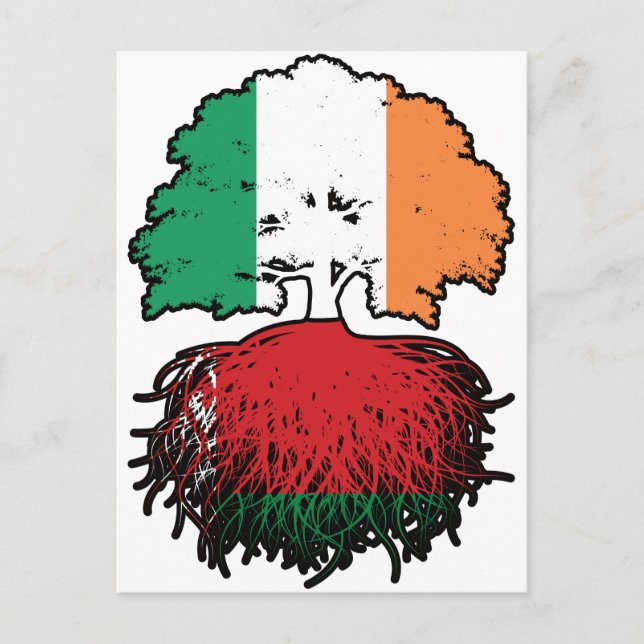 Belarus Belarusian Irish Ireland Tree Roots Flag Postcard (Front)