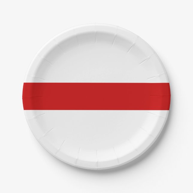 Belarus Flag (Red and White) Paper Plates (Front)