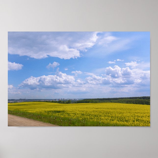 Belarus Grodno Canola Fields Flowers Poster (Front)