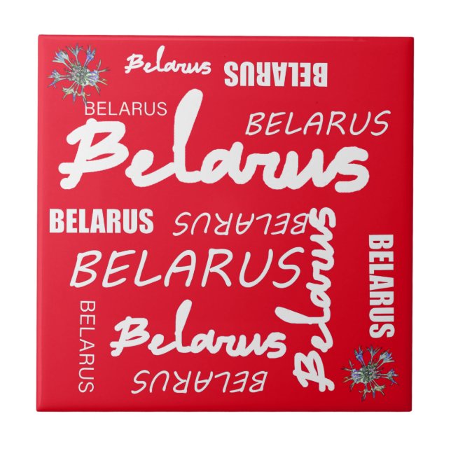Belarus National Corn Flower Ceramic Tile (Front)