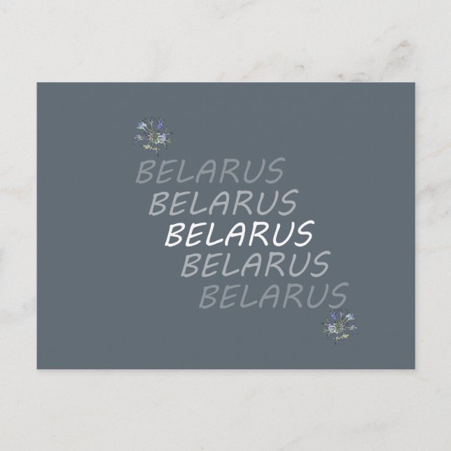 Belarus National Corn Flower Postcard (Front)