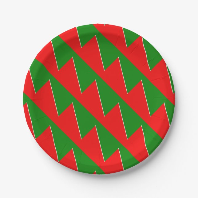 Belarus National Flag Colours Paper Plates (Front)