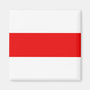Belarus protest flag symbol red white revolution f magnet