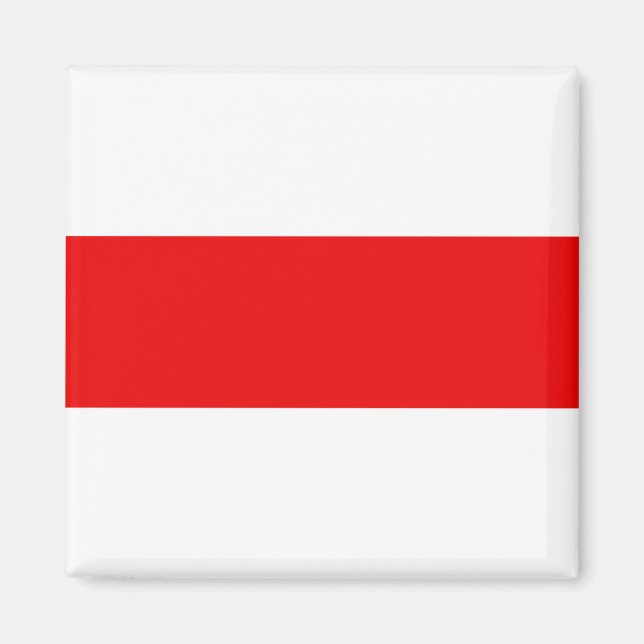 Belarus protest flag symbol red white revolution f magnet (Front)