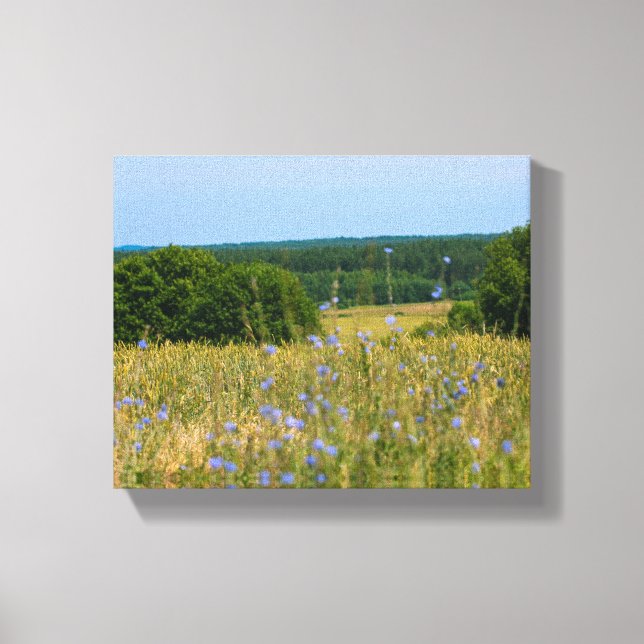 Belarus Rural Landscape Nature Countryside Canvas Print (Front)