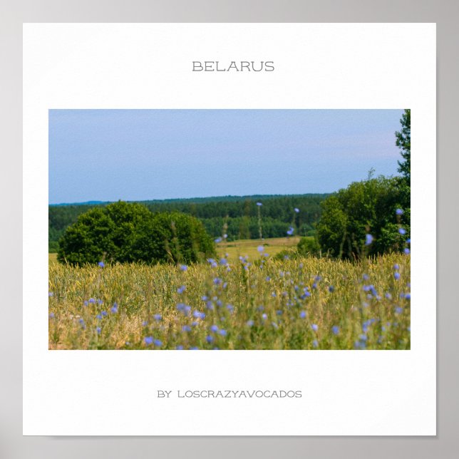 Belarus Rural Landscape Nature Countryside Poster (Front)