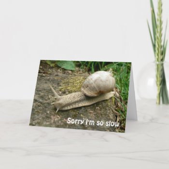 Belated Birthday Card by TheCardStore at Zazzle