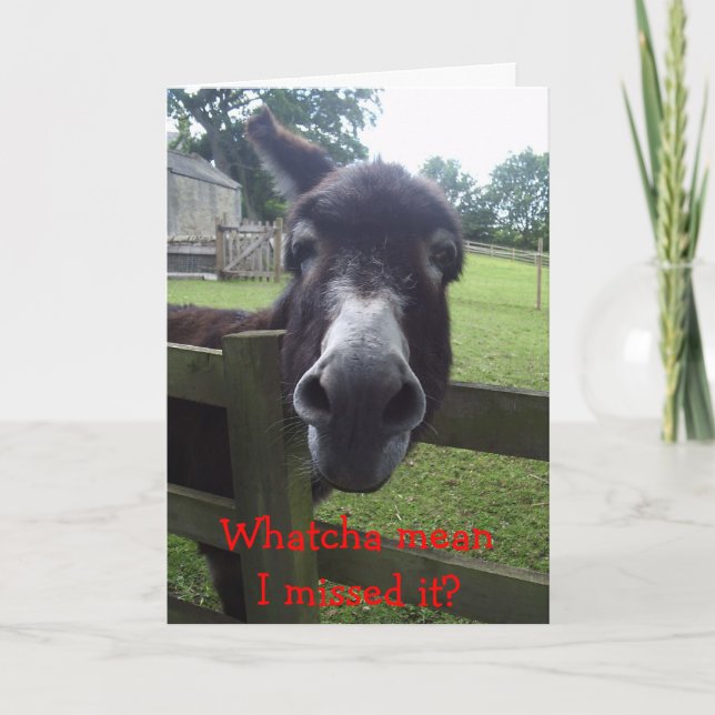 Belated Birthday Card (Front)