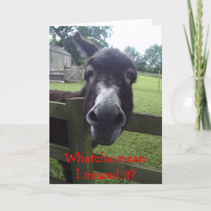 Belated Birthday Card