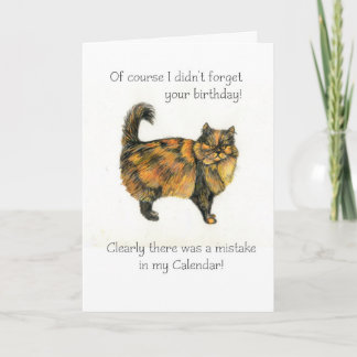 Belated Birthday Card - Brown Tabby Cat