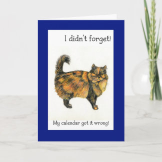 Belated Birthday Card - Longhaired Brown Tabby Cat