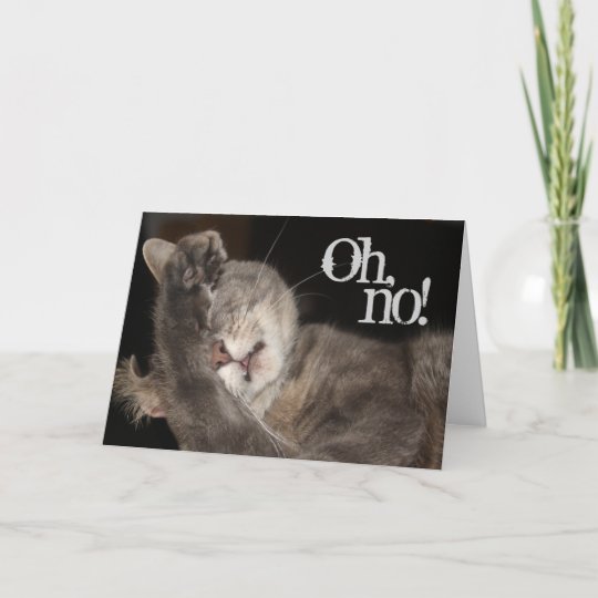 Belated Birthday, Cat Card | Zazzle.com