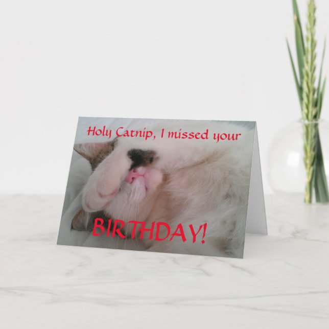 Belated Birthday Cat Humor Card (Front)