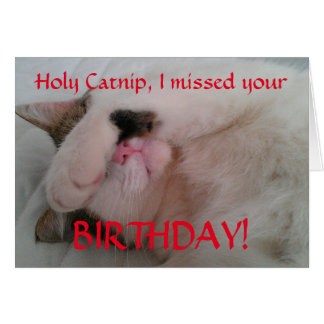 Cat Belated Birthday Gifts on Zazzle