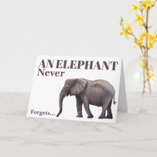 Belated Birthday Elephant Card