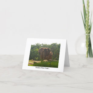 Belated Birthday—Elephants Never Forget Card