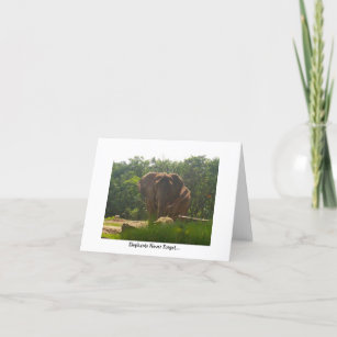 Belated Birthday—Elephants Never Forget Card