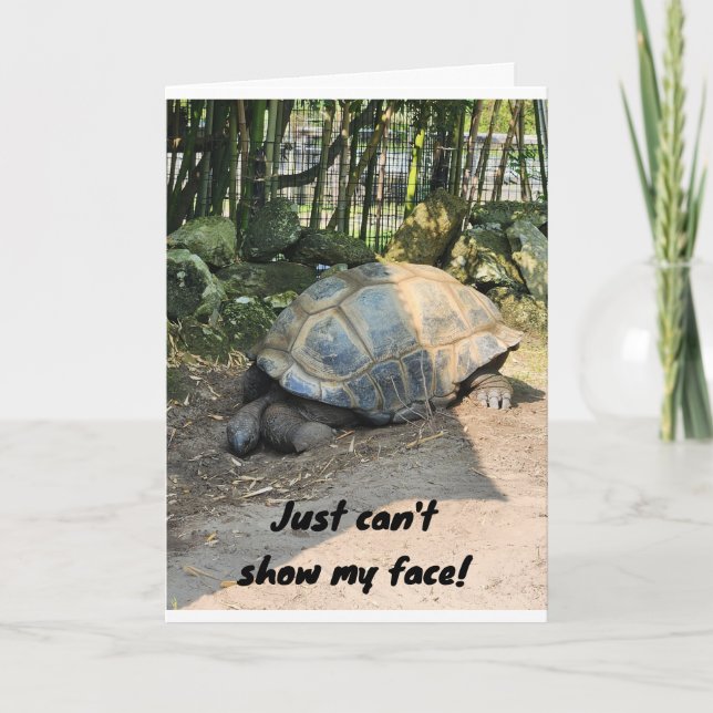 *BELATED* BIRTHDAY FROM LAZY TURTLE CARD (Front)