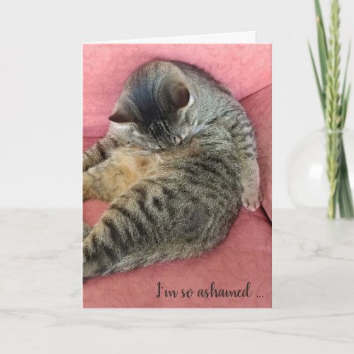 belated birthday_tabby cat on rose colored chair card