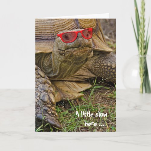 Belated Birthday Tortoise in sunglasses Card