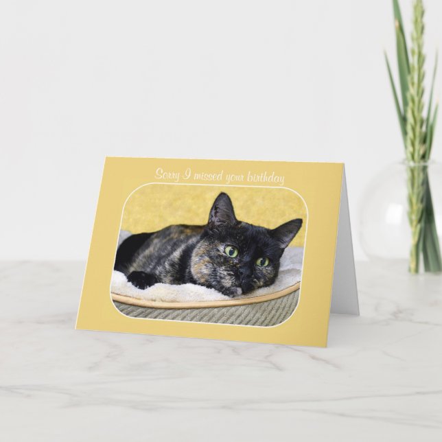 Belated Birthday Tortoiseshell Cat Card (Front)