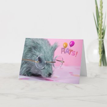 Belated Birthday With Gray Rat Card by dryfhout at Zazzle