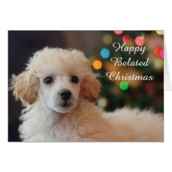 Belated Christmas poodle dog greeting card