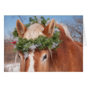 Belgian and a Wreath Cards