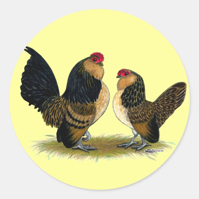 Belgian d'Anvers Bantams:  Quail Classic Round Sticker (Front)