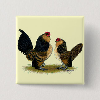 Belgian d'Anvers Bantams: Quail Pinback Button