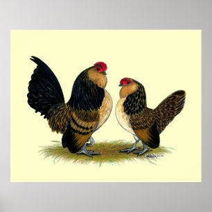 Belgian d'Anvers Bantams: Quail Poster