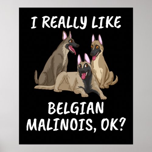 Belgian Dog Owner Shepherd Gift Belgian Malinois Poster