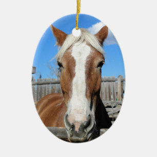 Belgian Draft Horse Ceramic Ornament