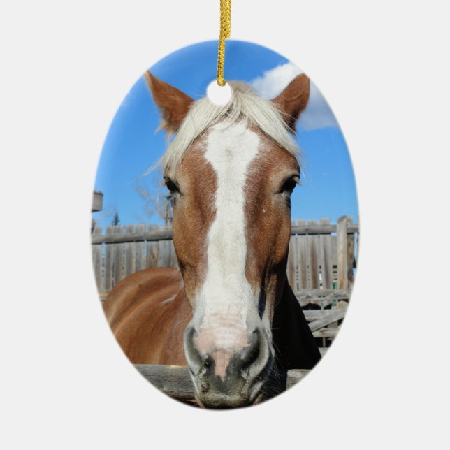 Belgian Draft Horse Ceramic Ornament (Front)