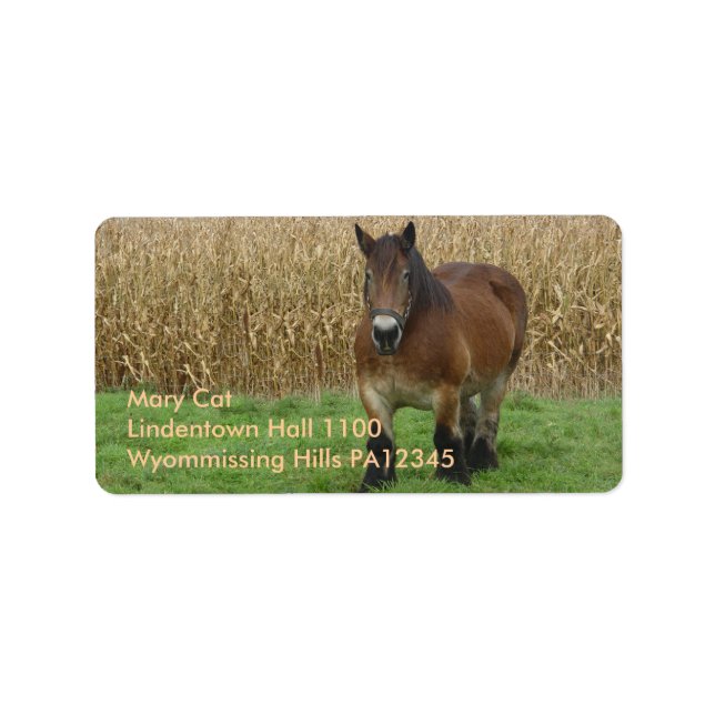 Belgian Draft Horse-in front of a corn field Label (Front)