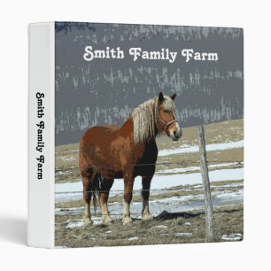 Belgian Draft Horse In Paddock Binder