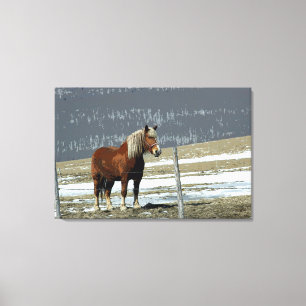 Belgian Draft Horse In Paddock Canvas Art