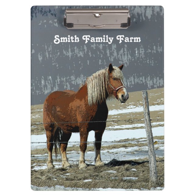 Belgian Draft Horse In Paddock Clipboard (Front)