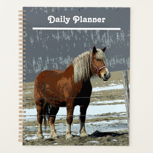 Belgian Draft Horse In Paddock Daily Planner