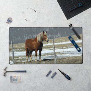 Belgian Draft Horse In Paddock Desk Mat