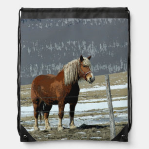Belgian Draft Horse In Paddock Drawstring Backpack