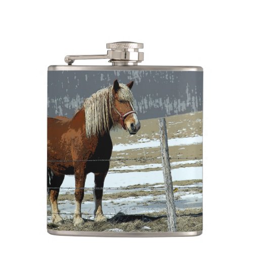 Belgian Draft Horse In Paddock Drink Flask