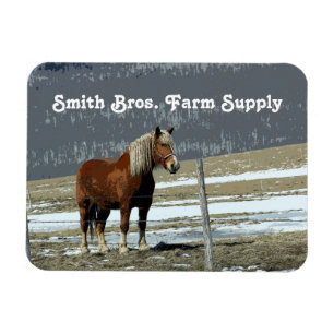 Belgian Draft Horse In Paddock Flexible Magnet