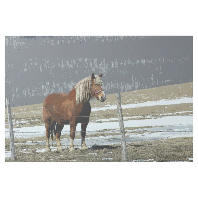 Belgian Draft Horse In Paddock Gallery Wrap (Front)