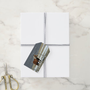 Belgian Draft Horse In Paddock Gift Tag