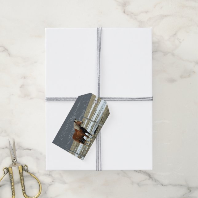 Belgian Draft Horse In Paddock Gift Tag (With Twine)