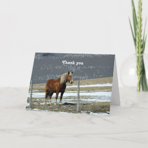 Belgian Draft Horse In Paddock Greeting Card