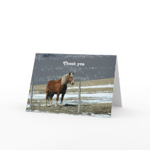 Belgian Draft Horse In Paddock Greeting Card