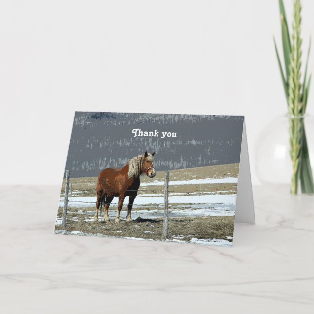 Belgian Draft Horse In Paddock Greeting Card (Front)